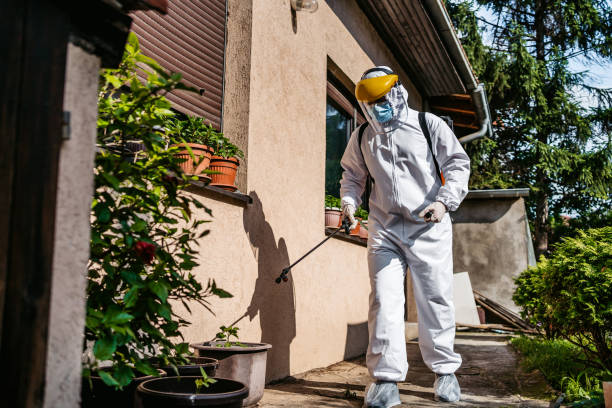 Best Affordable Pest Control Services  in Moyie Springs, ID