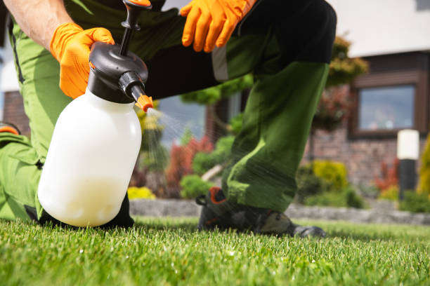 Best Emergency Pest Control  in Moyie Springs, ID