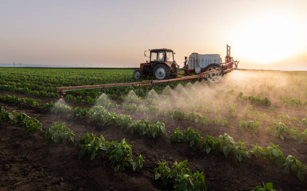 Pest Prevention Services in Moyie Springs, ID