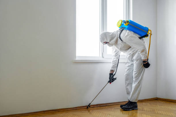 Best Wildlife Control Services  in Moyie Springs, ID