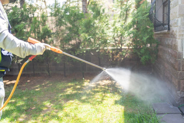 Best Mosquito Control Services  in Moyie Springs, ID