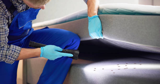 Best Best Pest Control Companies  in Moyie Springs, ID