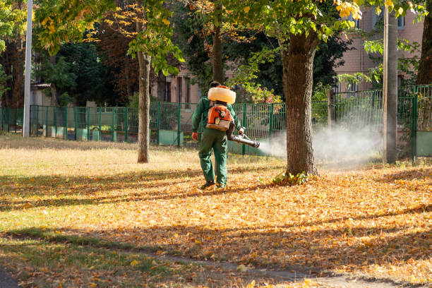 Best Termite Control Services  in Moyie Springs, ID