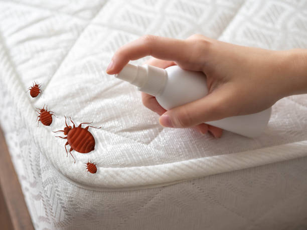 Best Exterminator Services  in Moyie Springs, ID