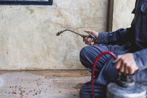 Best Pest Removal Services  in Moyie Springs, ID