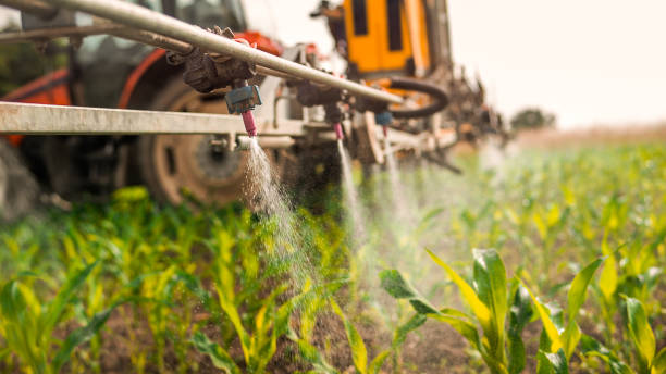 Professional Pest Control in Moyie Springs, ID